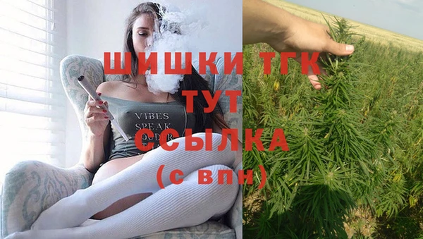 мдпв Киреевск