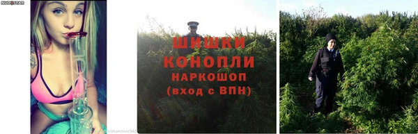мдпв Киреевск