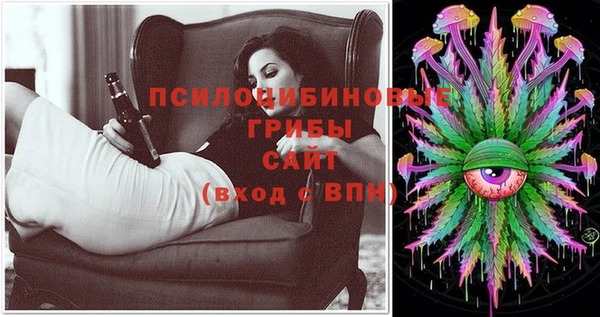 мдпв Киреевск