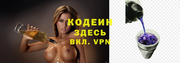 гашик Киренск