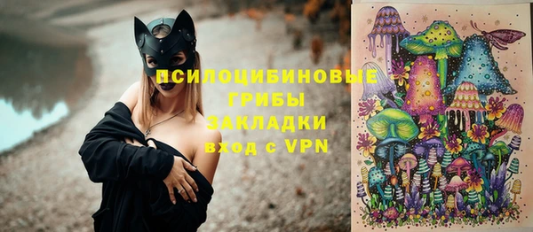 мдпв Киреевск
