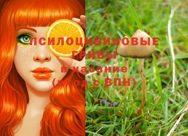 гашик Киренск