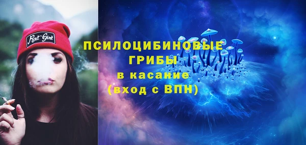 гашик Киренск