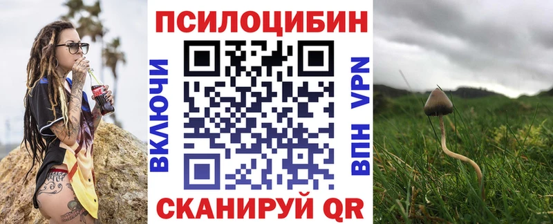 Псилоцибиновые грибы Magic Shrooms  Купить где  Курск 